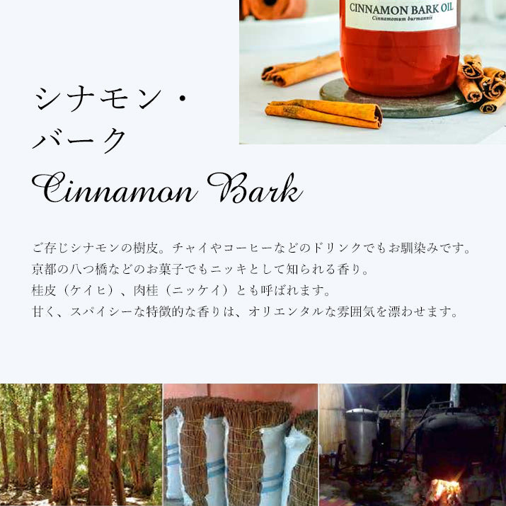 精油 シナモン・バーク Cinnamon bark/エッセンシャルオイル 5ml/インドネシアの希少な精油