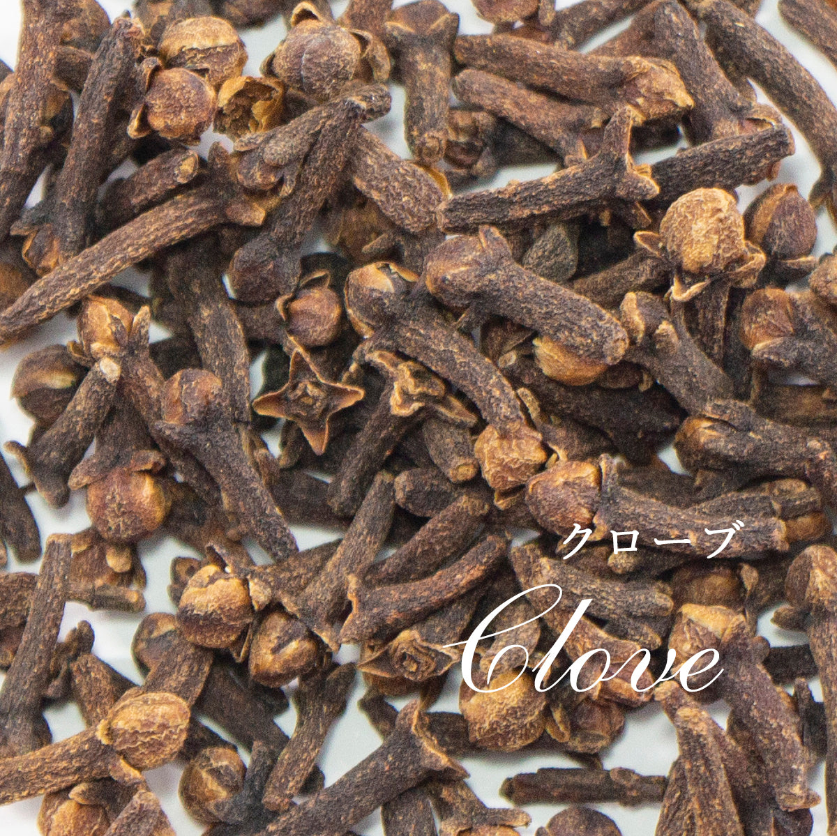 精油クローブ・バッド Clove Bud/エッセンシャルオイル 5ml/インドネシアの希少な精油