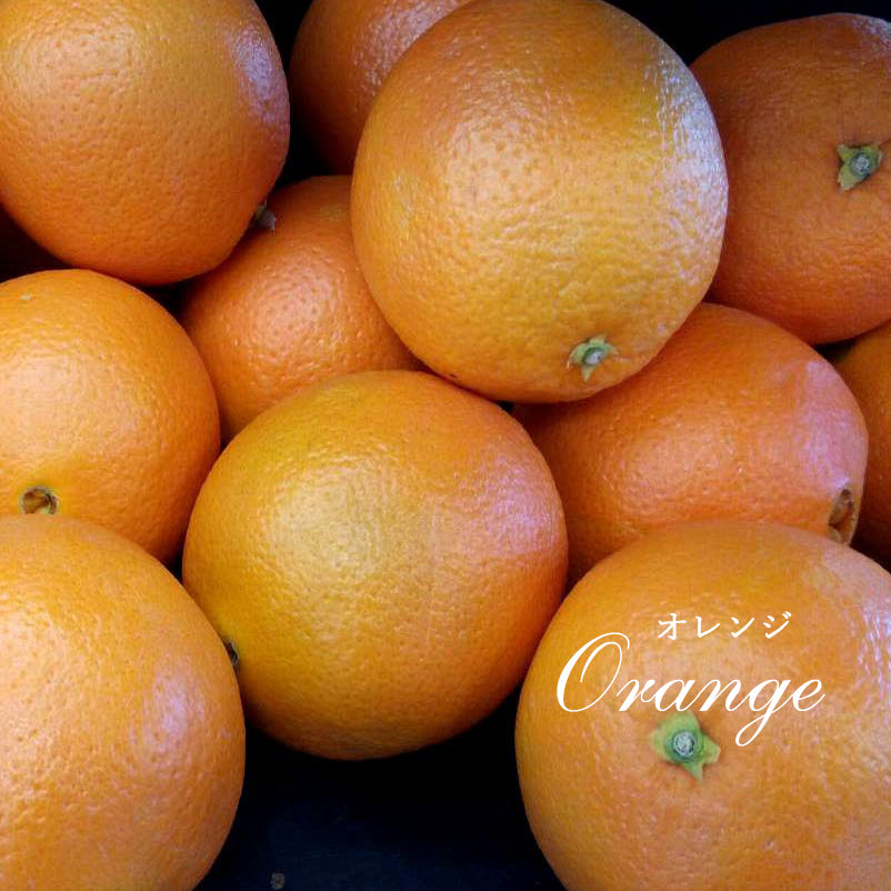 精油オレンジスイート Orange Sweet/エッセンシャルオイル 5ml/Citrus sinensis