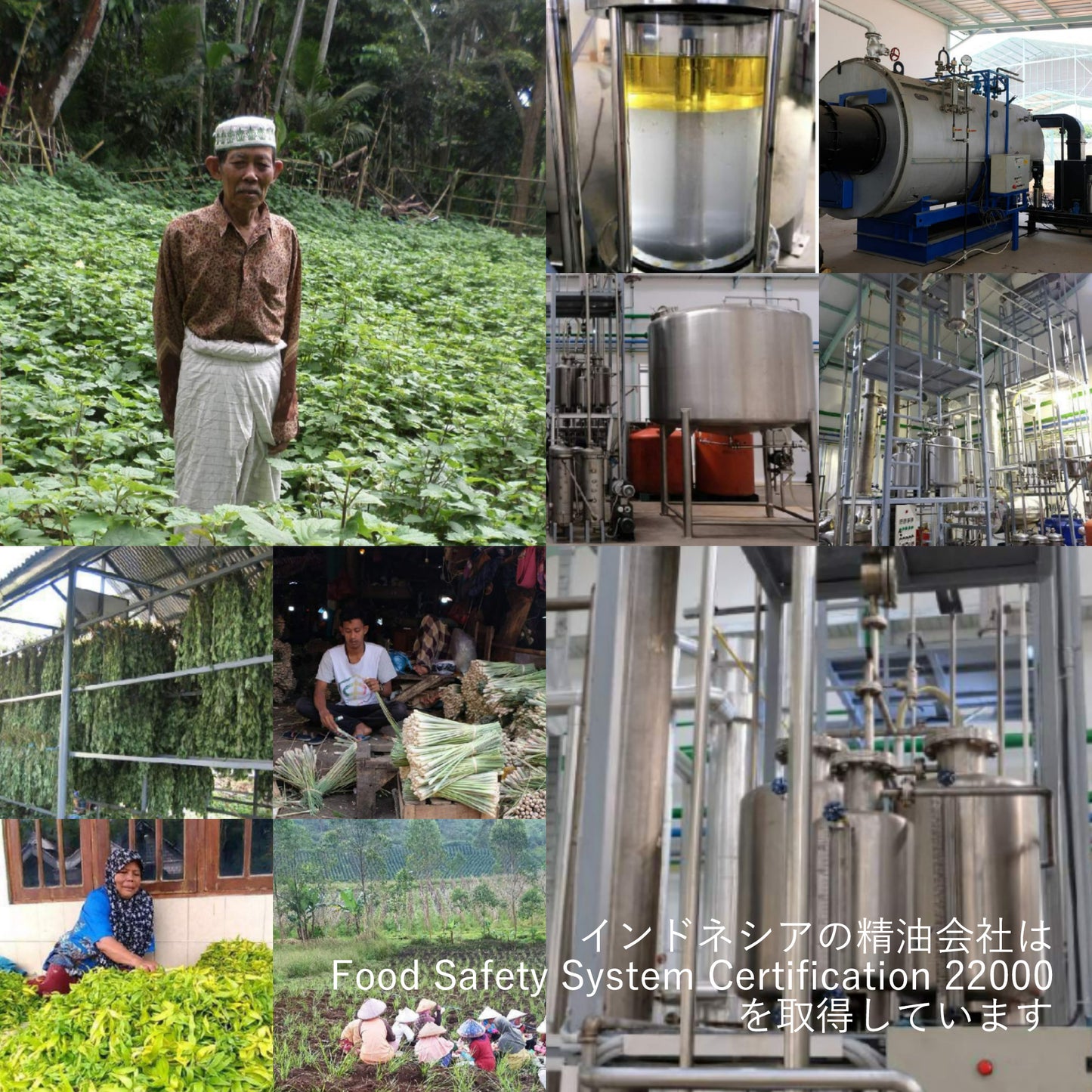 精油グルジュンバルサム /エッセンシャルオイル 5ml/インドネシアの希少な精油