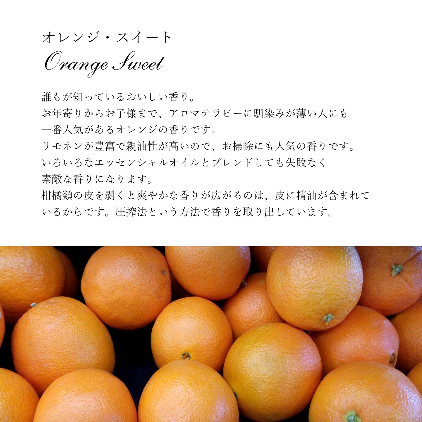 精油オレンジスイート Orange Sweet/エッセンシャルオイル 5ml/Citrus sinensis
