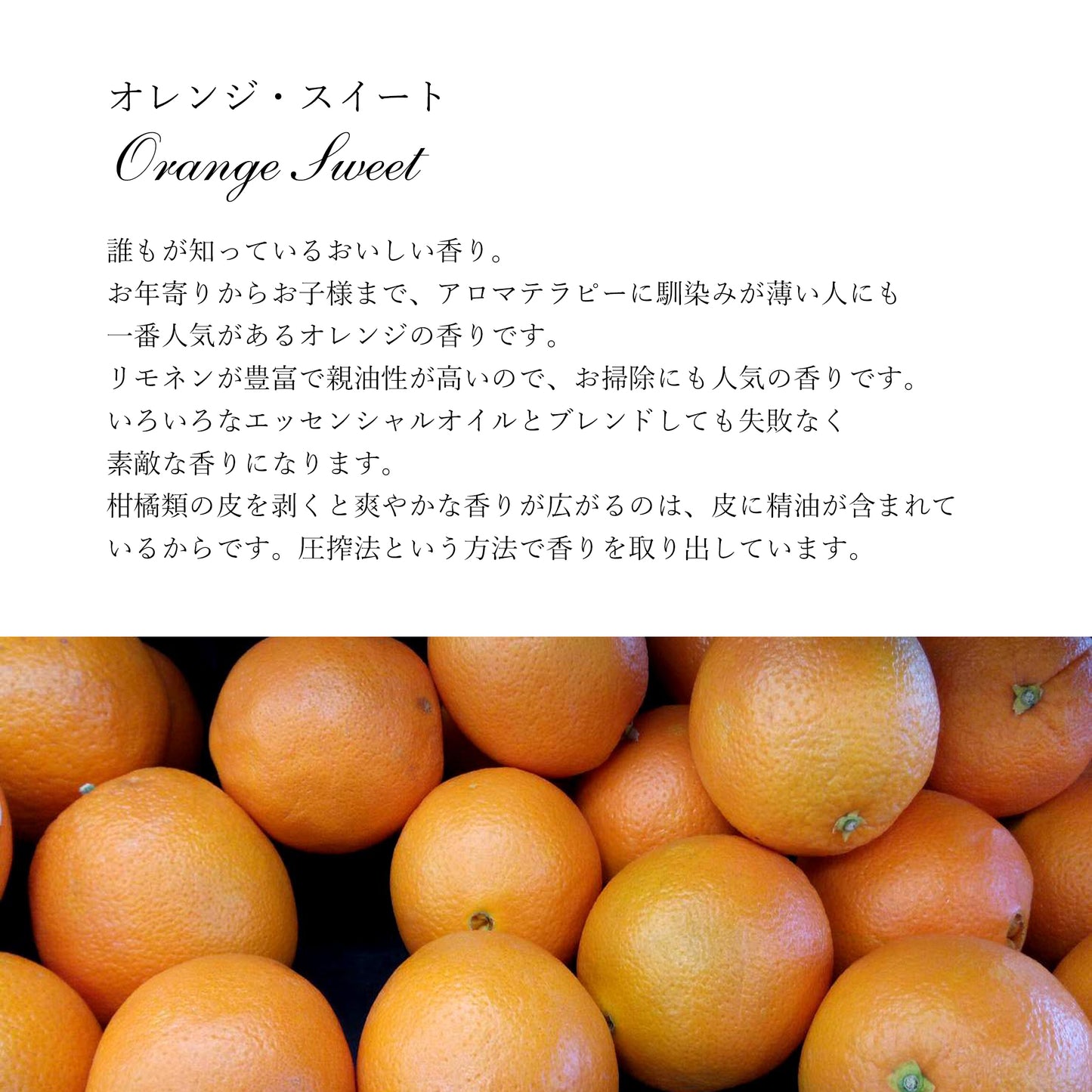 精油オレンジスイート Orange Sweet／エッセンシャルオイル 5ml／Citrus sinensis