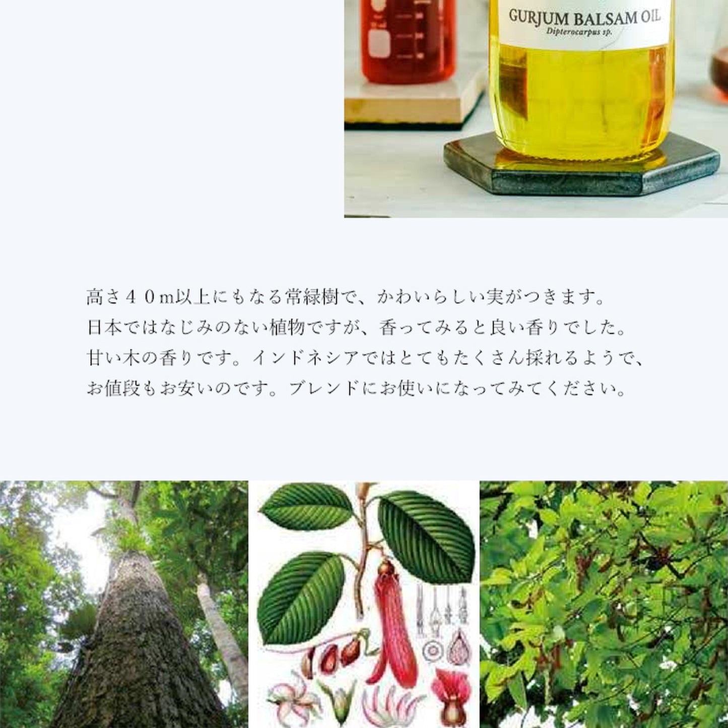 精油グルジュンバルサム /エッセンシャルオイル 5ml/インドネシアの希少な精油