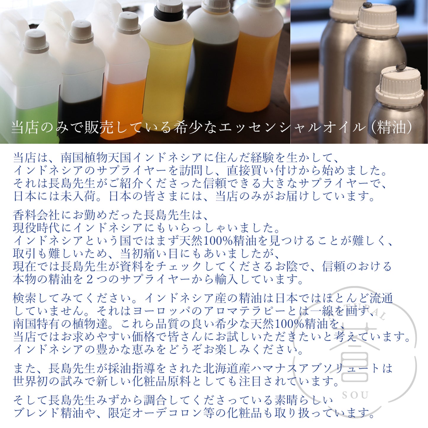 精油ジンジャーフレッシュ Fresh Ginger／エッセンシャルオイル 5ml／インドネシアの希少な精油