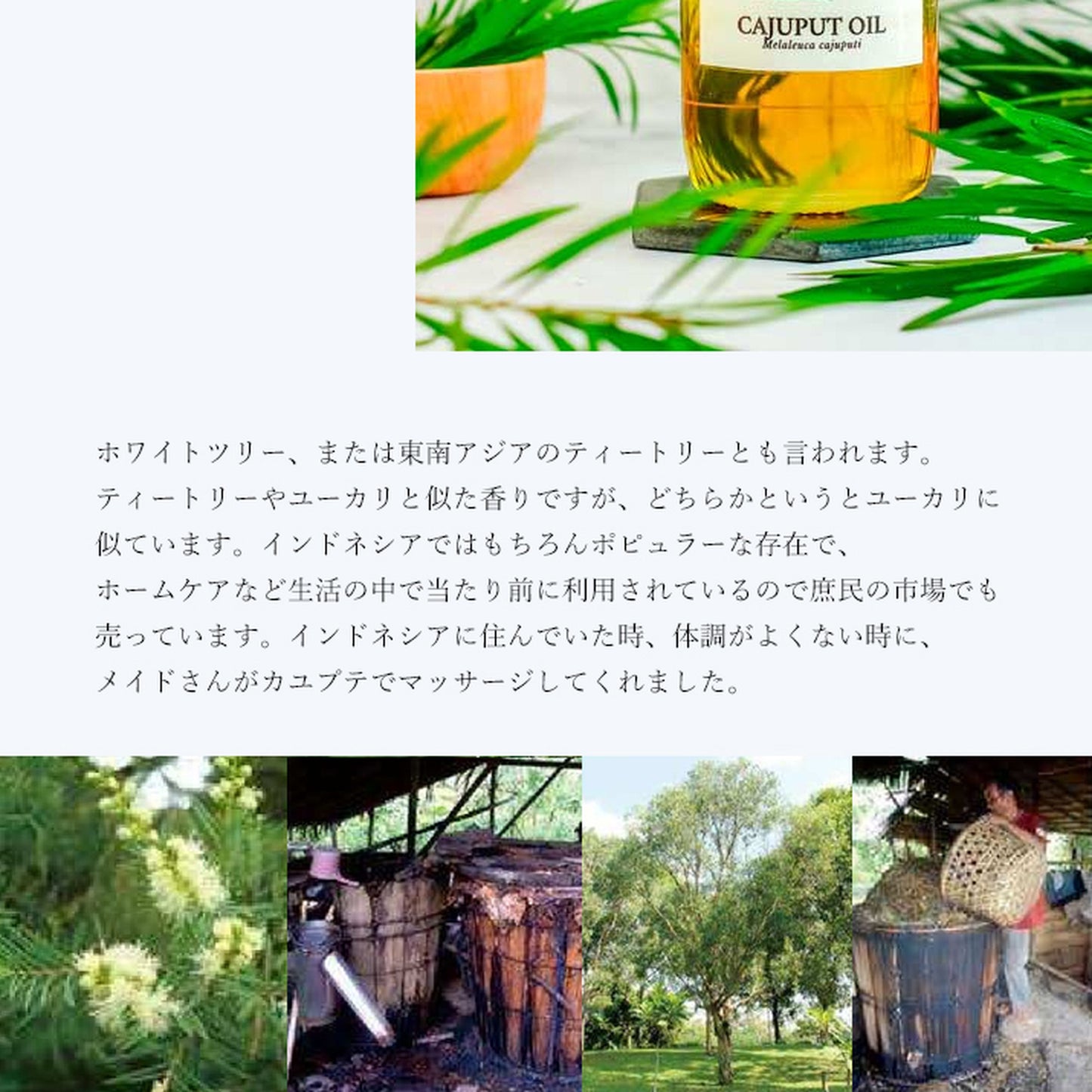 精油カユプテ Cajeput／エッセンシャルオイル 5ml／インドネシアの希少な精油