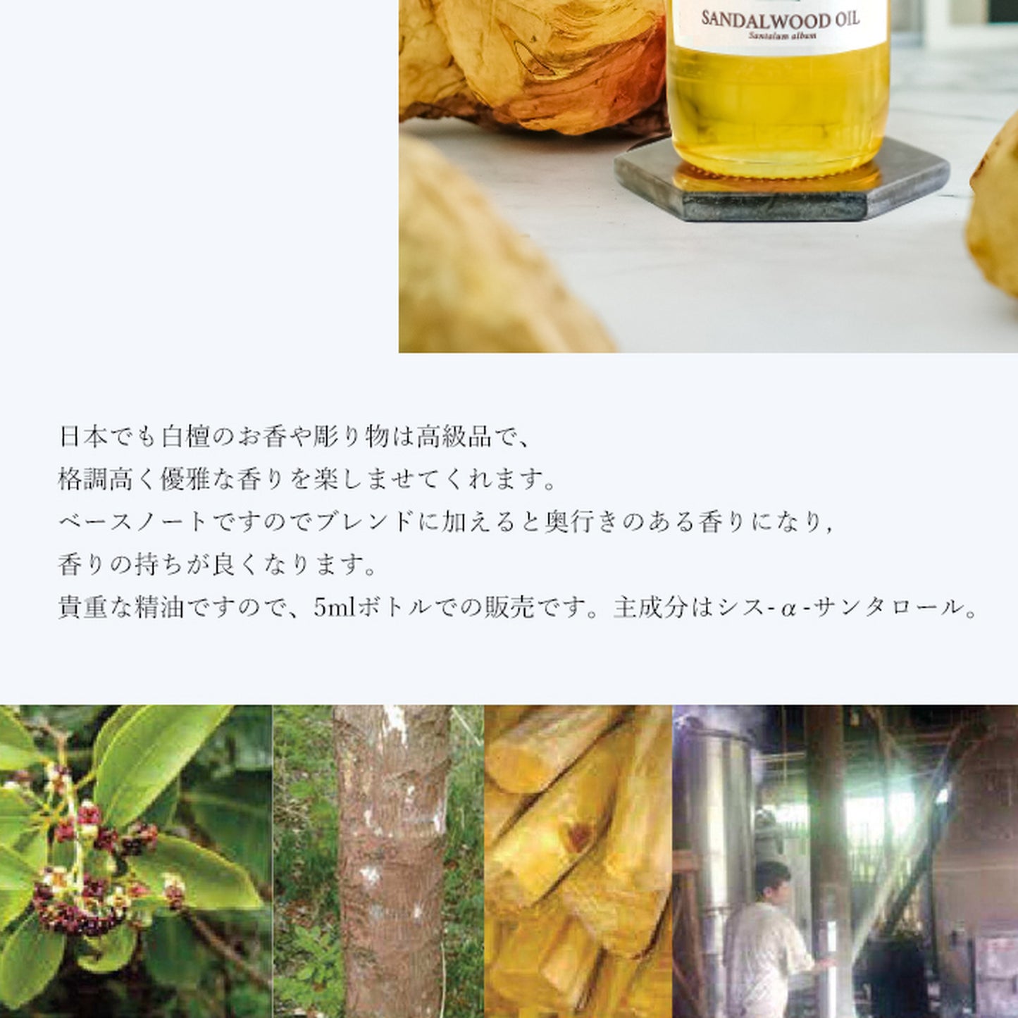 精油サンダルウッド Sandalwood/白檀/エッセンシャルオイル 5ml/Santalum album