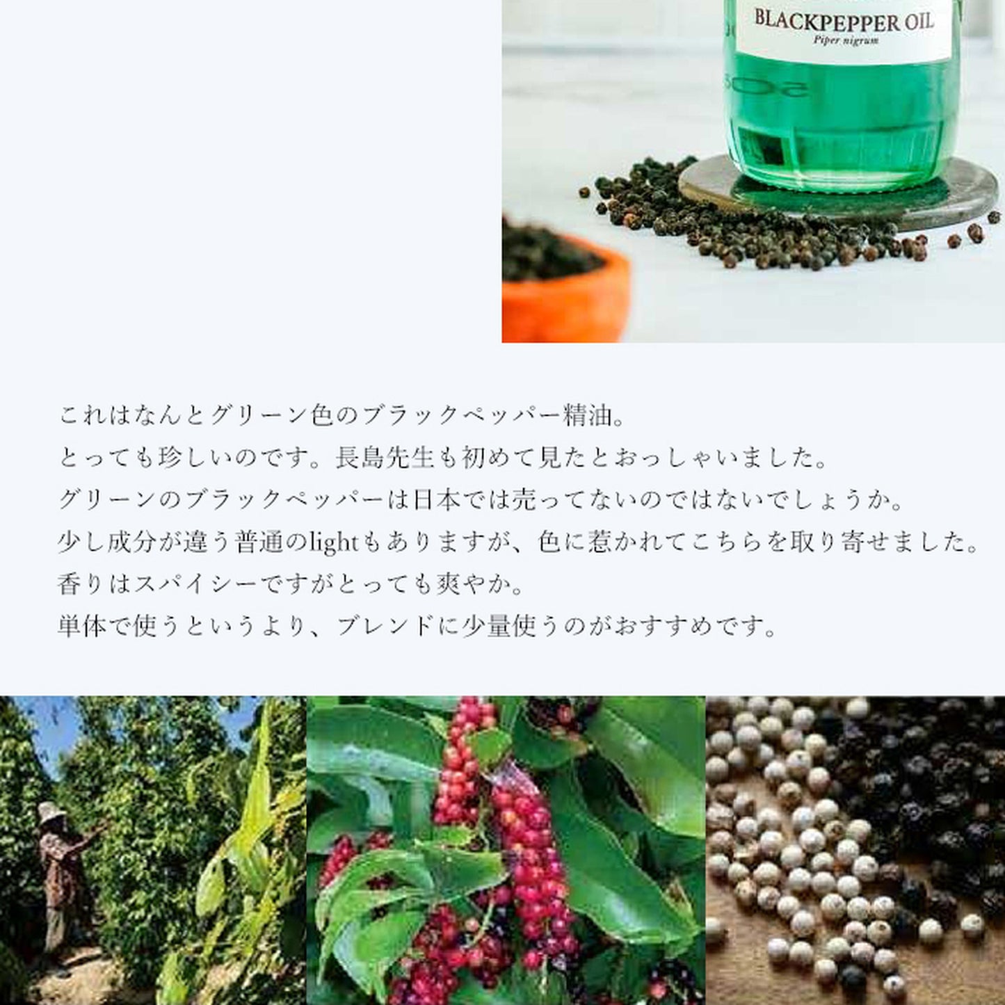 精油ブラックペッパー（グリーン）Black Pepper (Green) ／エッセンシャルオイル 5ml／インドネシアの希少な精油