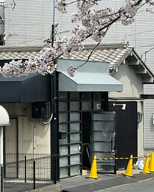 桜と庇の工事