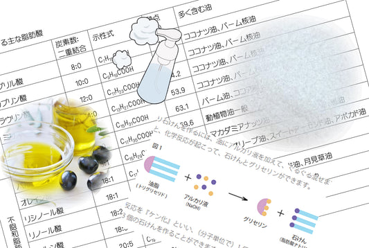 講座：手作りの中和法の可能性　～脂肪酸のプロフィールと、石鹸メーカーの石鹸製造法～