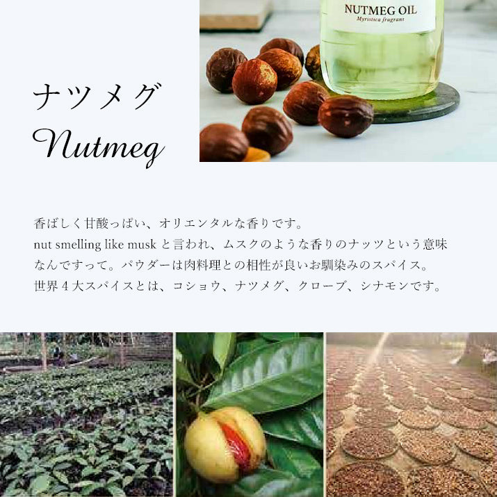 精油ナツメグ Nutmeg／エッセンシャルオイル 5ml／インドネシアの希少な精油