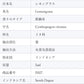精油レモングラス Lemongrass／エッセンシャルオイル 5ml／インドネシアの希少な精油