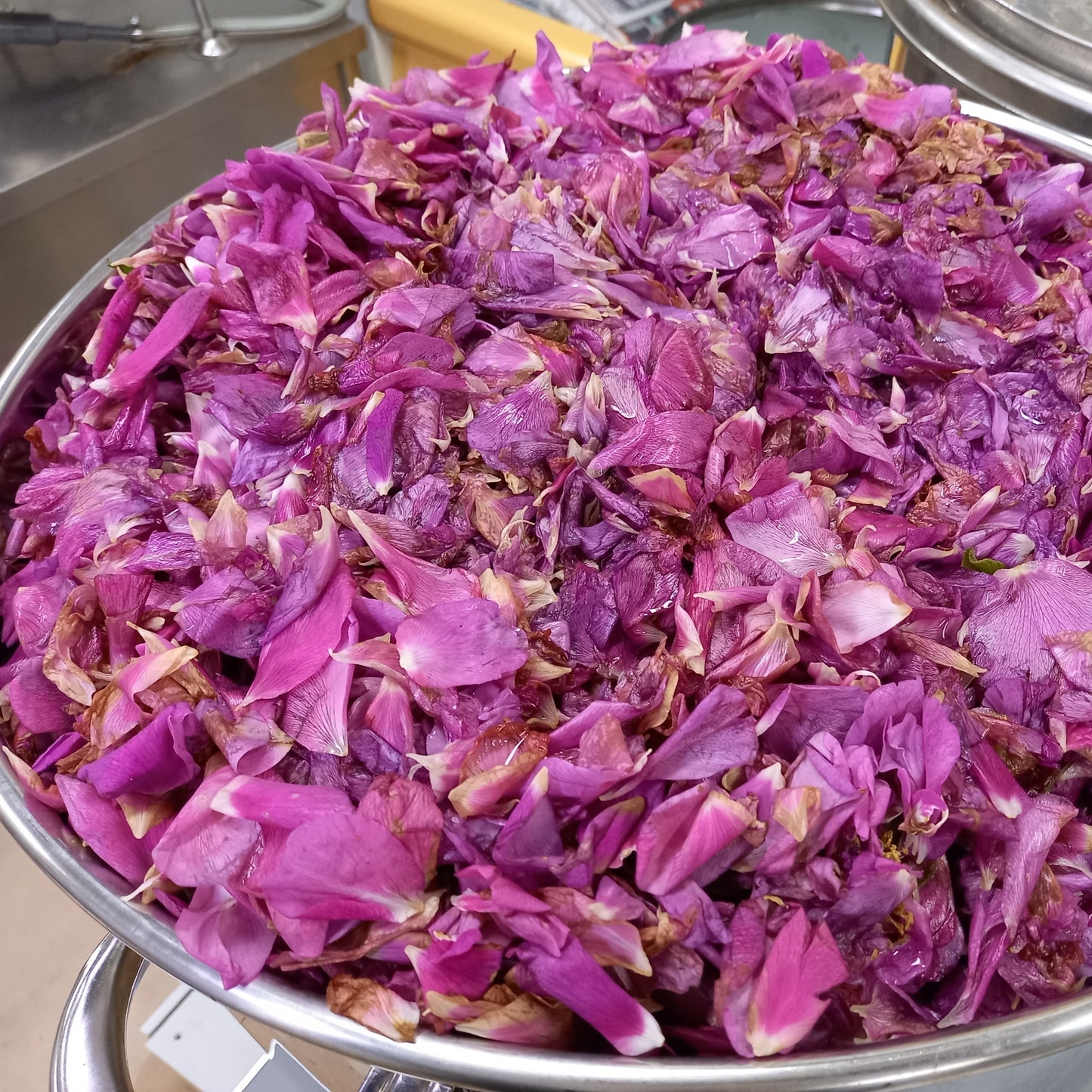 ハマナス アブソリュート Hamanasu／世界初／エッセンシャルオイル 1ml／北海道北見産天然精油 Rosa rugosa