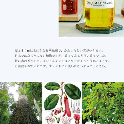精油グルジュンバルサム ／エッセンシャルオイル 5ml／インドネシアの希少な精油