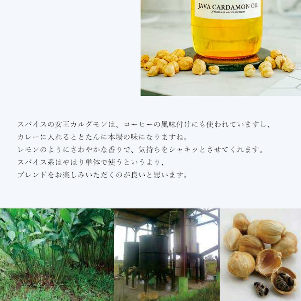 精油カルダモン (ジャワ) Java Cardamon／エッセンシャルオイル 5ml インドネシア産 – 手作りせっけん専門店 Natural蒼