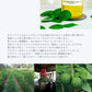 精油カフィアライム・リーフ Kaffir Lime Leaf／エッセンシャルオイル 5ml