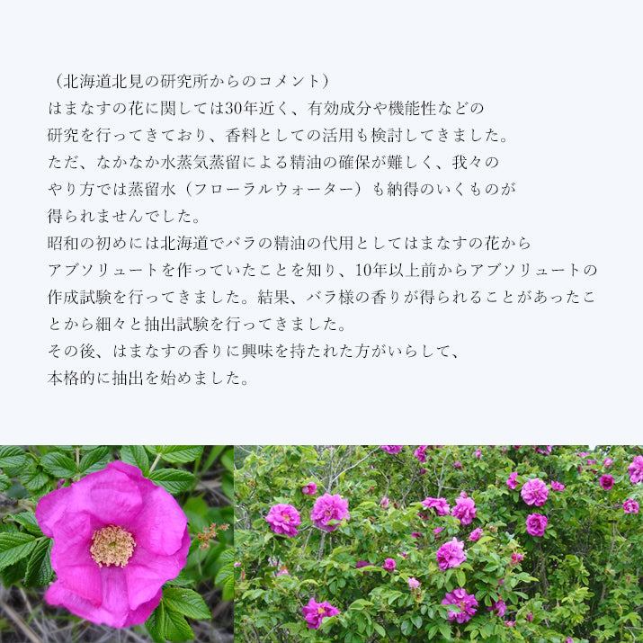 ハマナス アブソリュート Hamanasu／世界初／エッセンシャルオイル 1ml／北海道北見産天然精油