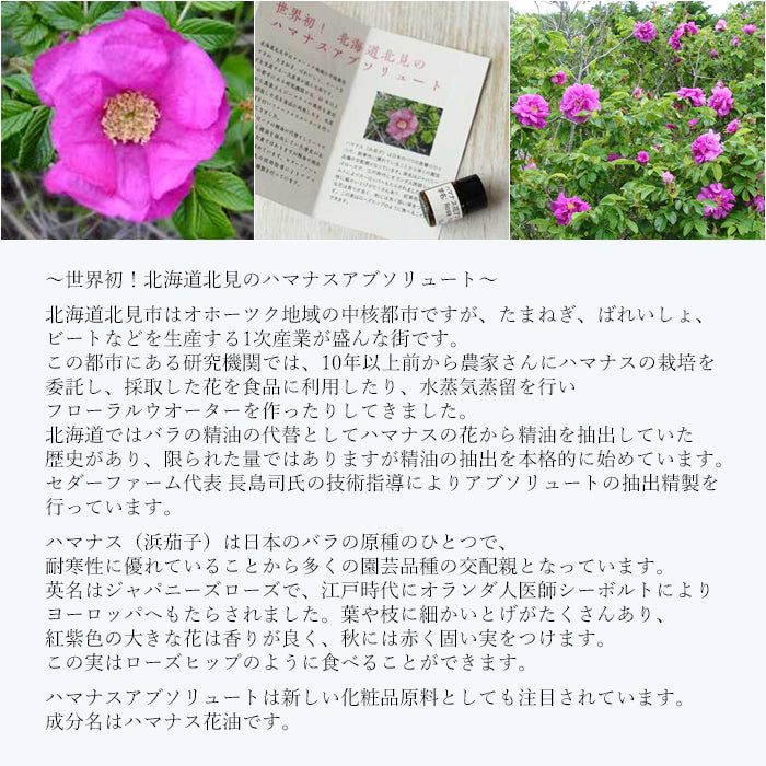 ハマナス アブソリュート Hamanasu／世界初／エッセンシャルオイル 1ml／北海道北見産天然精油